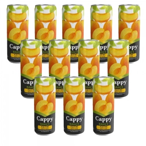 Cappy Meyve Suyu Kayısı 330 Ml x 12 Adet