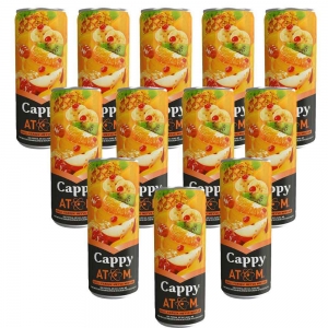 Cappy Meyve Suyu Atom 330 Ml x 12 Adet